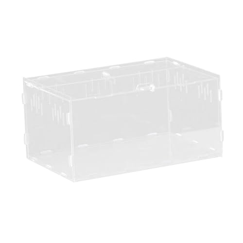 JISADER Hochtransparentes Reptilienterrarium Aus Acryl mit Belüfteten Löchern, Viel, Einfacher Reinigung Und Einfacher Beobachtung für Schlangen, Frösch, 30x20x15cm von JISADER