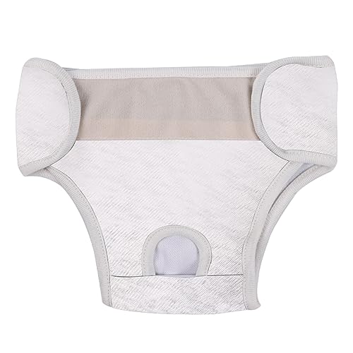 JISADER Hunde-physiologische Hose, Haustier-Pads, weiche Trainingskleidung, Welpen-Menstruationsdiape, weibliche Hunde, Windel-Periodenhose für die meisten, Hellgrau M JISADER Hunde-physiologische Hose, Haustier-Pads, weiche Trainingskleidung, Welpen-Menstruationsdiape, weibliche Hunde, Windel-Periodenhose für die meisten, Hellgrau M von JISADER