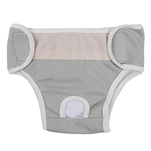 JISADER Hunde-physiologische Hose, Haustier-Pads, weiche Trainingskleidung, Welpen-Menstruationsdiape, weibliche Hunde, Windel-Periodenhose für die meisten, Hellgrün XL JISADER Hunde-physiologische Hose, Haustier-Pads, weiche Trainingskleidung, Welpen-Menstruationsdiape, weibliche Hunde, Windel-Periodenhose für die meisten, Hellgrün XL von JISADER