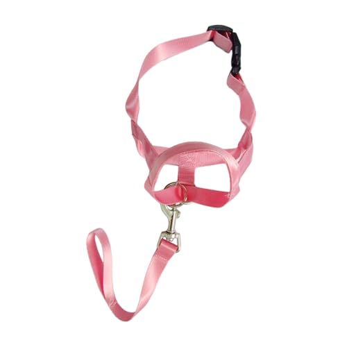 JISADER Hundehalftergeschirr mit Führung, verstellbares Hundehalsband für kleine, mittelgroße und große Hunde, weiches Hundekopfhalfter mit, XL JISADER Hundehalftergeschirr mit Führung, verstellbares Hundehalsband für kleine, mittelgroße und große Hunde, weiches Hundekopfhalfter mit, XL von JISADER