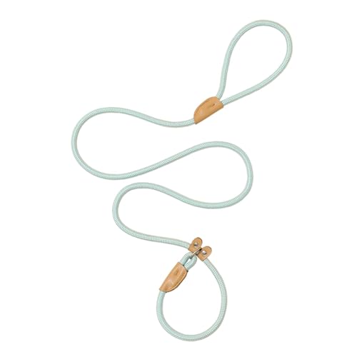 JISADER Hundeleine, tragbar, Hundetrainingsleine, Nylon, Hundeleine für Spaziergänge, Spielplatz, Strand, Camping, 180 cm Länge, Blau 1cm JISADER Hundeleine, tragbar, Hundetrainingsleine, Nylon, Hundeleine für Spaziergänge, Spielplatz, Strand, Camping, 180 cm Länge, Blau 1cm von JISADER