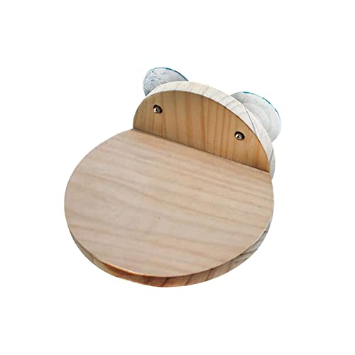 JISADER Katzen-Kletterregal Katzen-Schweberegal Treppe Langlebiges Leiter-Treppenregal Katzen-Sprungstufe Katzen-Versteckplattform zum Ausruhen von Kätzchen, Saugnapf JISADER Katzen-Kletterregal Katzen-Schweberegal Treppe Langlebiges Leiter-Treppenregal Katzen-Sprungstufe Katzen-Versteckplattform zum Ausruhen von Kätzchen, Saugnapf von JISADER