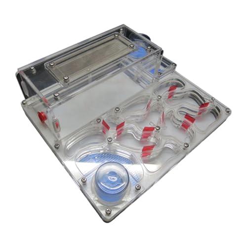 JISADER Nest Robustes Schloss Insektenvilla Haus für Stem-Lernspielzeug Kinder, Weiß JISADER Nest Robustes Schloss Insektenvilla Haus für Stem-Lernspielzeug Kinder, Weiß von JISADER