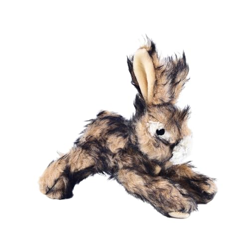 JISADER Quietschendes Hundespielzeug, kleines Hundespielzeug, bequemes Welpenspiel, Füllung, Kauspielzeug für mittelgroße Hunde und große, Kaninchen JISADER Quietschendes Hundespielzeug, kleines Hundespielzeug, bequemes Welpenspiel, Füllung, Kauspielzeug für mittelgroße Hunde und große, Kaninchen von JISADER