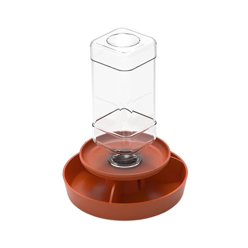 JISADER Terrarienteller Und Futternapf Zubehör für Amphibien Im Aquarium, Orange S JISADER Terrarienteller Und Futternapf Zubehör für Amphibien Im Aquarium, Orange S von JISADER