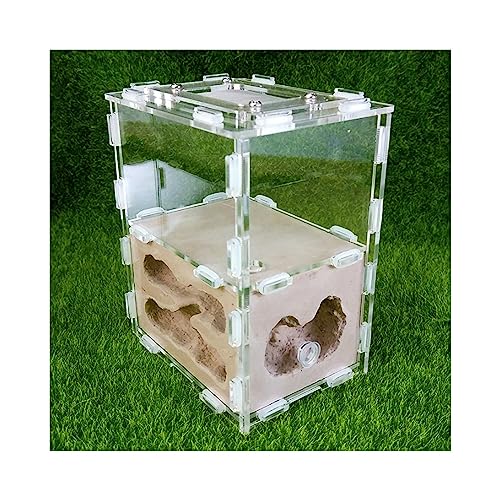 JITEM Umweltfreundlicher Ameisenfarm, Ameisennest, Mini-Gips, Acryl, Haustier, Ameise, Schloss, Werkstatt, Ameise, transparent, Haus, Box Lebensraum für Insekten JITEM Umweltfreundlicher Ameisenfarm, Ameisennest, Mini-Gips, Acryl, Haustier, Ameise, Schloss, Werkstatt, Ameise, transparent, Haus, Box Lebensraum für Insekten von JITEM