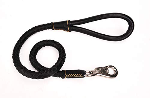 JIUI Hundeleine, 1 m, Leder, Komfortgriff, langlebig, verschleißfest, Anti-Verwicklung, geeignet für mittelgroße und große Hunde, Länge 100 cm x Breite 2,5 cm, Schwarz JIUI Hundeleine, 1 m, Leder, Komfortgriff, langlebig, verschleißfest, Anti-Verwicklung, geeignet für mittelgroße und große Hunde, Länge 100 cm x Breite 2,5 cm, Schwarz von JIUI