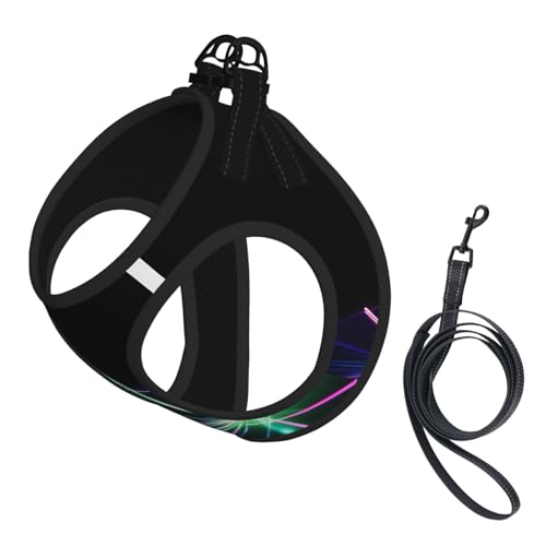 Hundegeschirr mit Laserlicht-Druck, mit Leine, verstellbar und reflektierend, für Welpen, Haustiere Hundegeschirr mit Laserlicht-Druck, mit Leine, verstellbar und reflektierend, für Welpen, Haustiere von JIUTY