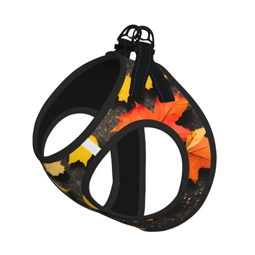 Hundegeschirr mit Leine, mit Kürbisdruck, verstellbar und reflektierend, für Welpen, Haustiere Hundegeschirr mit Leine, mit Kürbisdruck, verstellbar und reflektierend, für Welpen, Haustiere von JIUTY