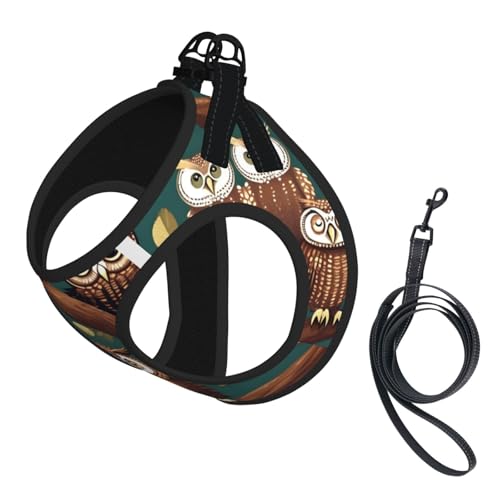 Hundegeschirr mit Leine, mit magischem Eulendruck, verstellbar und reflektierend, für Welpen, Haustiere Hundegeschirr mit Leine, mit magischem Eulendruck, verstellbar und reflektierend, für Welpen, Haustiere von JIUTY