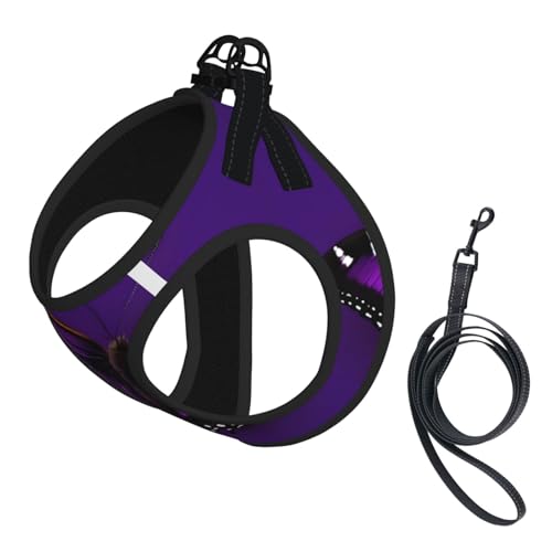 Hundegeschirr mit Leine, verstellbar, reflektierend, Schmetterlings-Aufdruck, Violett / Pflaume Hundegeschirr mit Leine, verstellbar, reflektierend, Schmetterlings-Aufdruck, Violett / Pflaume von JIUTY