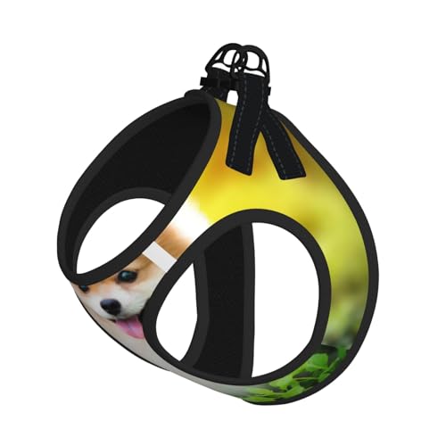 Hundegeschirr mit Leine, verstellbar, reflektierend, für Welpen im Frühling, Park, bedruckt Hundegeschirr mit Leine, verstellbar, reflektierend, für Welpen im Frühling, Park, bedruckt von JIUTY