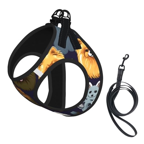 Hundegeschirr mit Leine und Leine mit vielen Zwergspitzen, verstellbar und reflektierend, zum Hineinsteigen Hundegeschirr mit Leine und Leine mit vielen Zwergspitzen, verstellbar und reflektierend, zum Hineinsteigen von JIUTY
