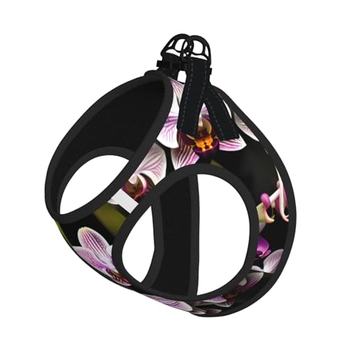 Hundegeschirr mit Orchideen-Druck, mit Leine, verstellbar und reflektierend, für Welpen, Haustiere Hundegeschirr mit Orchideen-Druck, mit Leine, verstellbar und reflektierend, für Welpen, Haustiere von JIUTY
