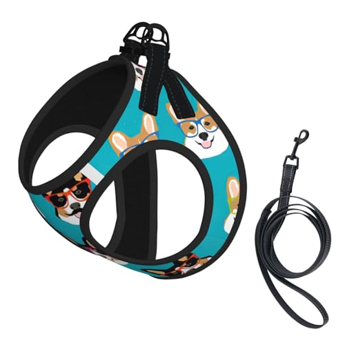 Hundegeschirr mit niedlichem Corgi-Brille und Schnurrbärt, mit Leine, verstellbar und reflektierend, für Welpen, Haustiere Hundegeschirr mit niedlichem Corgi-Brille und Schnurrbärt, mit Leine, verstellbar und reflektierend, für Welpen, Haustiere von JIUTY