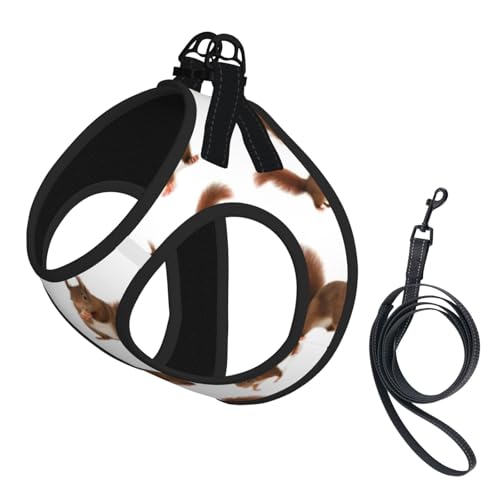 Hundegeschirr mit niedlichem Eichhörnchen-Druck, mit Leine, verstellbar und reflektierend, für Welpen, Haustiere Hundegeschirr mit niedlichem Eichhörnchen-Druck, mit Leine, verstellbar und reflektierend, für Welpen, Haustiere von JIUTY