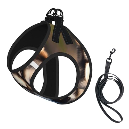 Hundegeschirr mit schönem Husky-Druck, mit Leine, verstellbar und reflektierend, für Welpen, Haustiere Hundegeschirr mit schönem Husky-Druck, mit Leine, verstellbar und reflektierend, für Welpen, Haustiere von JIUTY