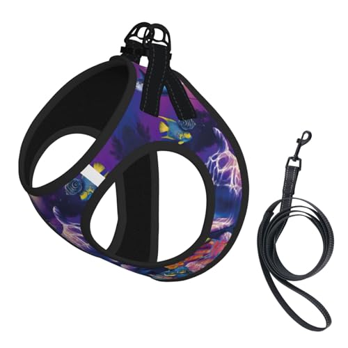 Hundegeschirr mit süßem Delfindruck, mit Leine, verstellbar und reflektierend, für Welpen, Haustiere Hundegeschirr mit süßem Delfindruck, mit Leine, verstellbar und reflektierend, für Welpen, Haustiere von JIUTY