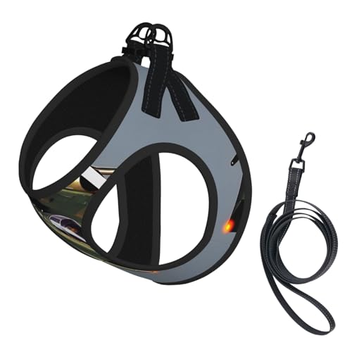 Jet Fighters Hundegeschirr mit Leine, bedruckt, verstellbar, reflektierend, für Welpen, Haustiere Jet Fighters Hundegeschirr mit Leine, bedruckt, verstellbar, reflektierend, für Welpen, Haustiere von JIUTY