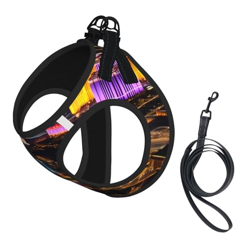 Las Vegas Sommergeschirr mit Leine, mit Nachtsicht, verstellbar und reflektierend, für Welpen, Haustiere Las Vegas Sommergeschirr mit Leine, mit Nachtsicht, verstellbar und reflektierend, für Welpen, Haustiere von JIUTY