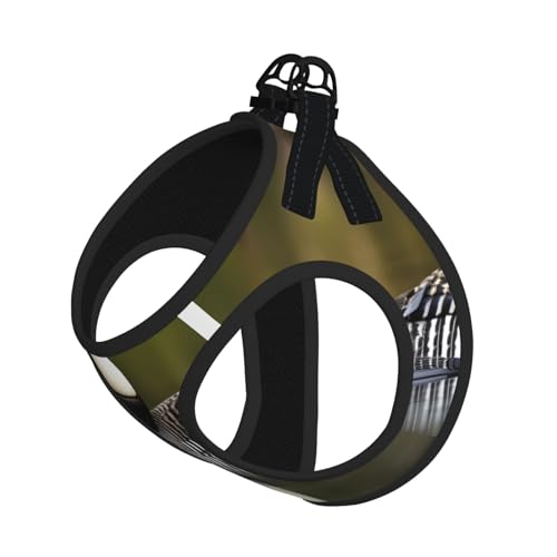 Loon Nature Hundegeschirr mit Leine, mit Vogeldruck, verstellbar und reflektierend, für Welpen, Haustiere Loon Nature Hundegeschirr mit Leine, mit Vogeldruck, verstellbar und reflektierend, für Welpen, Haustiere von JIUTY