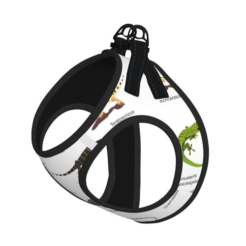 Verschiedene Arten von Eidechsen-Druck, Sommer-Geschirr mit Leine, verstellbar und reflektierend, für Welpen, Haustiere Verschiedene Arten von Eidechsen-Druck, Sommer-Geschirr mit Leine, verstellbar und reflektierend, für Welpen, Haustiere von JIUTY
