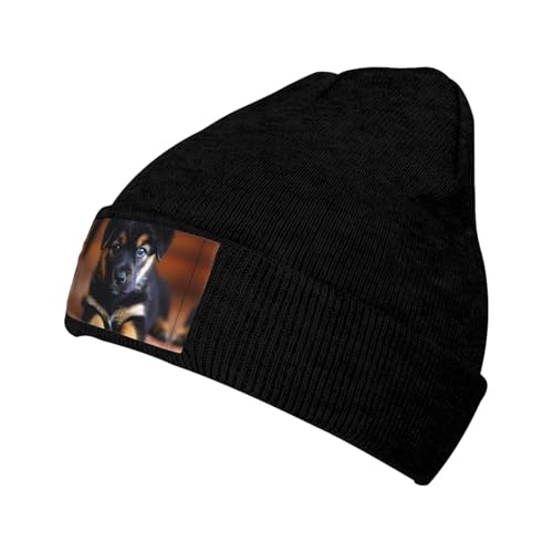 Wintermütze für Welpen, für Herren und Damen, warm gefüttert, weich, warm, Strickmütze mit Bündchen für kaltes Wetter von JIUTY