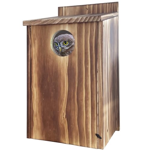Naturholz Eulenhaus für draußen - 20,0cm B x 21,0cm T x 40,0cm H Eulenbox mit Nistmaterial, Drainage & Belüftung - Vogelhaus für Kreischeule, Turmfalken & mehr Naturholz Eulenhaus für draußen - 20,0cm B x 21,0cm T x 40,0cm H Eulenbox mit Nistmaterial, Drainage & Belüftung - Vogelhaus für Kreischeule, Turmfalken & mehr von JIWINNER