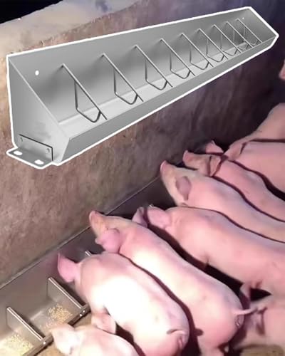 Metall-Schweinefuttertrog mit 5, 8 und 10 Löchern, robuster Schweinefuttertrog für Nutztiere, Schweinefarmen/Hühnerfuttertröge, Boden-/Hängemontage, einfache Installation(10 Card Slots) von JIYIHENKEAI