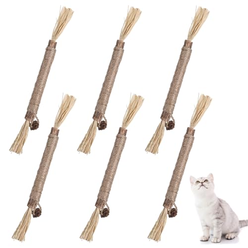 JIYIN 6 Stück Katzenminze Sticks, Katzen Zahnpflege Zahnputzflocken für Katzen Kausticks für Katzen Katzenminze Spielzeug für Katze Zu Spielen,Kaue,Stress abbauen, Zahnpflege JIYIN 6 Stück Katzenminze Sticks, Katzen Zahnpflege Zahnputzflocken für Katzen Kausticks für Katzen Katzenminze Spielzeug für Katze Zu Spielen,Kaue,Stress abbauen, Zahnpflege von JIYIN