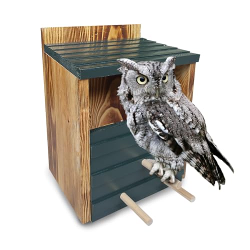 Eulenhaus für draußen gebrauchsfertig kein Aufbau nötig Kreich Eule Box Vogelhaus 100% Zedernholz Braut Nisthaus für draußen Echtholz von JJI