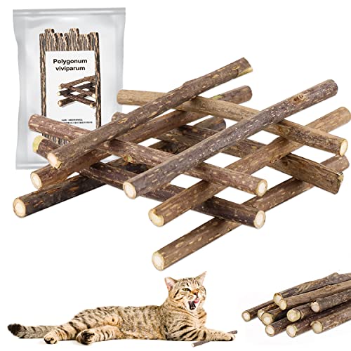 JJW 10 Matatabi Natürlich Katzenminze Sticks,Matatabi Katzen Kauhölzer aus Naturholz,zur Förderung Gesunder Zähne und Zur Behandlung von Mundgeruch bei Katzen von JJW