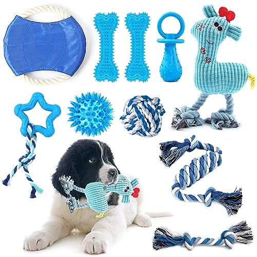 JJW Kauspielzeug für Hunde, 10 interaktive Hundespielzeuge, leuchtende Bälle, quietschendes Plüschspielzeug, Seilspielzeug und Baumwollseil-Frisbees, Wunderbare Geschenke für Hunde von JJW