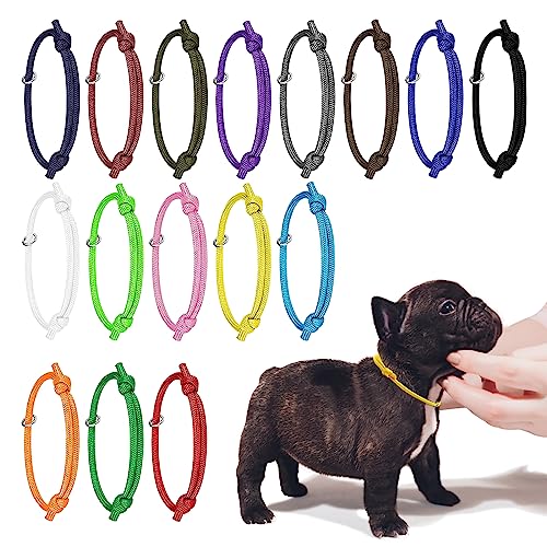 JJWNML 16pcs welpen ID halsbänder, Neugeborene kätzchen, weiche Polyester halsbänder einstellbare Bands Identifikation welpenhalsband für Neugeborene Haustier, Multi Coloured (S,12-20CM) JJWNML 16pcs welpen ID halsbänder, Neugeborene kätzchen, weiche Polyester halsbänder einstellbare Bands Identifikation welpenhalsband für Neugeborene Haustier, Multi Coloured (S,12-20CM) von JJWNMLL