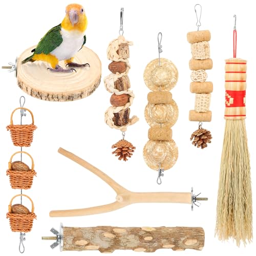 Vogel-Kauspielzeug, 8 Packungen Sittiche, Naturholzspielzeug, Vogel-Sitzstange, Wellensittichkäfig-Zubehör für kleine und mittelgroße Papageien, um Energie zu verbrauchen von JJunLiM
