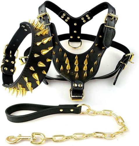 Cooles Hundegeschirr aus Leder mit Nieten, Halsband und Leine für mittelgroße und große Hunde, Gold, L Cooles Hundegeschirr aus Leder mit Nieten, Halsband und Leine für mittelgroße und große Hunde, Gold, L von JKDSAO