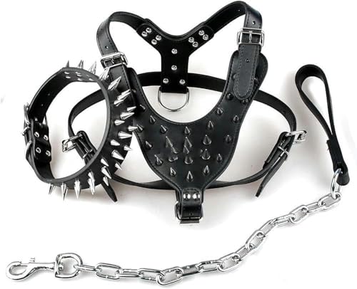 Cooles Hundegeschirr aus Leder mit Nieten, Halsband und Leine für mittelgroße und große Hunde, Silber, M Cooles Hundegeschirr aus Leder mit Nieten, Halsband und Leine für mittelgroße und große Hunde, Silber, M von JKDSAO