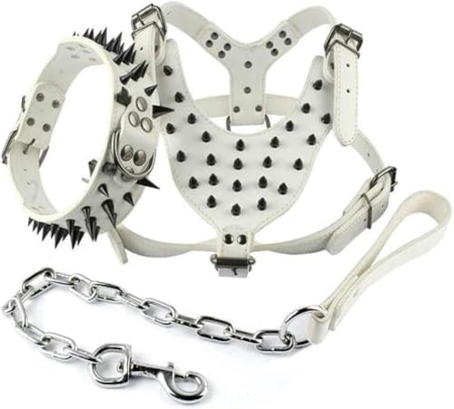 Cooles Hundegeschirr aus Leder mit Nieten, Halsband und Leine für mittelgroße und große Hunde, Weiß, M Cooles Hundegeschirr aus Leder mit Nieten, Halsband und Leine für mittelgroße und große Hunde, Weiß, M von JKDSAO