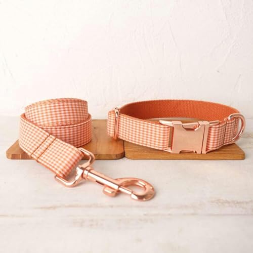 Einzigartiges Hundehalsband, praktisch zum Spazierengehen, Hundeleinen-Zubehör für kleine, mittelgroße und große Hunde, 5 Größen - Hundehalsband-Leinen-Set - L Einzigartiges Hundehalsband, praktisch zum Spazierengehen, Hundeleinen-Zubehör für kleine, mittelgroße und große Hunde, 5 Größen - Hundehalsband-Leinen-Set - L von JKDSAO
