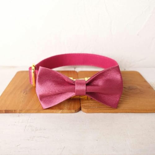 Einzigartiges Hundehalsband, praktisch zum Spazierengehen mit der Hundeleine, Accessoire für kleine, mittelgroße und große Hunde, Größe 5 - Hundehalsband mit Fliege - XS von JKDSAO