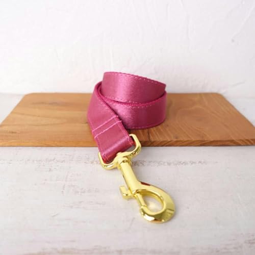 Einzigartiges Hundehalsband, praktisch zum Spazierengehen mit der Hundeleine, Zubehör für kleine, mittelgroße und große Hunde, Größe 5, Hundeleine, L von JKDSAO