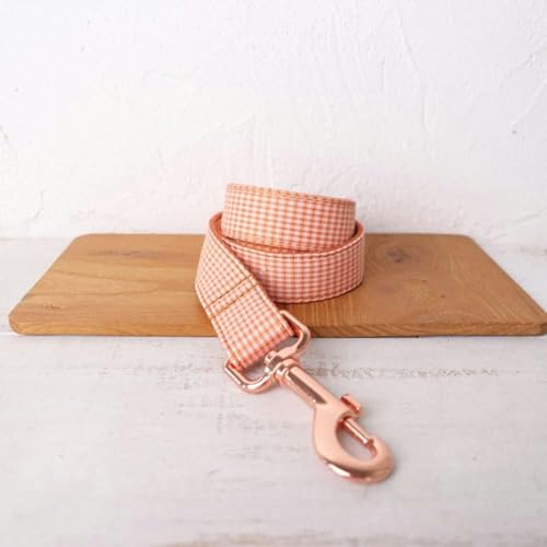 Einzigartiges Hundehalsband, praktisch zum Spazierengehen mit der Hundeleine, Zubehör für kleine, mittelgroße und große Hunde, Größe 5, Hundeleine, M Einzigartiges Hundehalsband, praktisch zum Spazierengehen mit der Hundeleine, Zubehör für kleine, mittelgroße und große Hunde, Größe 5, Hundeleine, M von JKDSAO