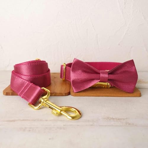 Einzigartiges Hundehalsband, praktisch zum Spazierengehen mit der Hundeleine, Zubehör für kleine, mittelgroße und große Hunde, Größe 5 - Halsband mit Fliege, Leine, S Einzigartiges Hundehalsband, praktisch zum Spazierengehen mit der Hundeleine, Zubehör für kleine, mittelgroße und große Hunde, Größe 5 - Halsband mit Fliege, Leine, S von JKDSAO
