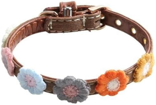 Haustierhalsband mit Blumendekor, zum Anziehen, verstellbare Haustier-Halskette für Hunde, Schlaufe, Haustierbedarf, verstellbares Halsband, Haustierprodukte, Hellbraun, 34 cm Haustierhalsband mit Blumendekor, zum Anziehen, verstellbare Haustier-Halskette für Hunde, Schlaufe, Haustierbedarf, verstellbares Halsband, Haustierprodukte, Hellbraun, 34 cm von JKDSAO