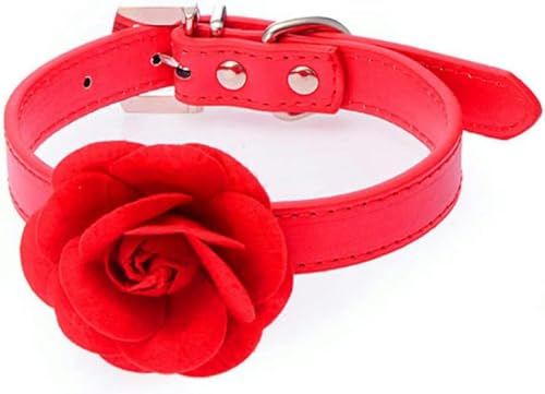 Hundehalsband aus PU-Leder mit Rosenblüten-Halskette für Haustiere mit sortierter Schleppkette, rot, M-rot-S Hundehalsband aus PU-Leder mit Rosenblüten-Halskette für Haustiere mit sortierter Schleppkette, rot, M-rot-S von JKDSAO