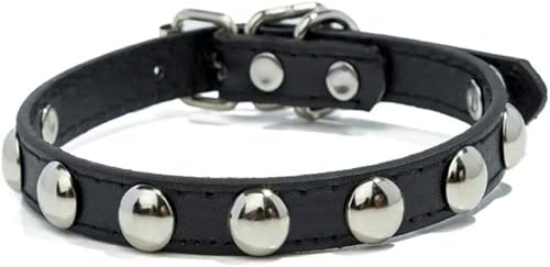 Hundehalsband für Welpen, buntes Hundehalsband aus Leder mit Nieten, Halsband für kleine Hunde und Katzen, Umhängeband, Lila, S-Schwarz-M Hundehalsband für Welpen, buntes Hundehalsband aus Leder mit Nieten, Halsband für kleine Hunde und Katzen, Umhängeband, Lila, S-Schwarz-M von JKDSAO