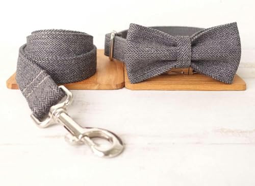 Hundehalsband mit Leine, verstellbar, Welpenhalsband mit Namensschild, 5 Größen, Fliege, Halsband, Leine, L von JKDSAO