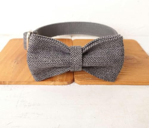 Hundehalsband mit Leine, verstellbar, Welpenhalsband mit Namensschild, 5 Größen, Hundehalsband mit Fliege, S Hundehalsband mit Leine, verstellbar, Welpenhalsband mit Namensschild, 5 Größen, Hundehalsband mit Fliege, S von JKDSAO
