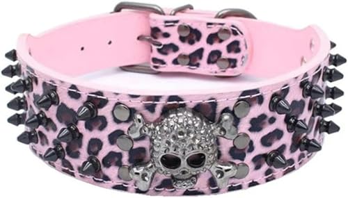 Hundehalsband mit Nägeln, Totenkopf-Nieten, Anti-Biss-Hundehalsband mit Spikes und großer Kette, Schwarz/Gold, M Hundehalsband mit Nägeln, Totenkopf-Nieten, Anti-Biss-Hundehalsband mit Spikes und großer Kette, Schwarz/Gold, M von JKDSAO