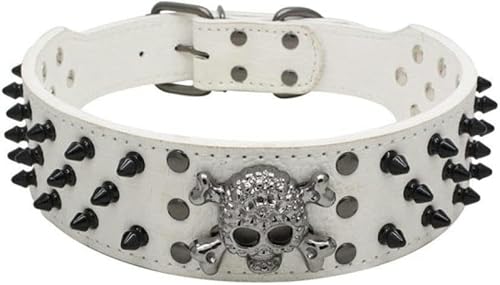 Hundehalsband mit Nägeln, Totenkopf-Nieten, Anti-Biss-Hundehalsband mit großen Ketten, Schwarz/Gold Hundehalsband mit Nägeln, Totenkopf-Nieten, Anti-Biss-Hundehalsband mit großen Ketten, Schwarz/Gold von JKDSAO